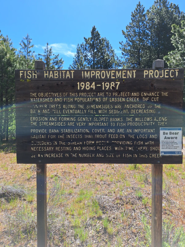 fish habitat improvement project, Goose Lake redband trout, Lassen Creek, CA
