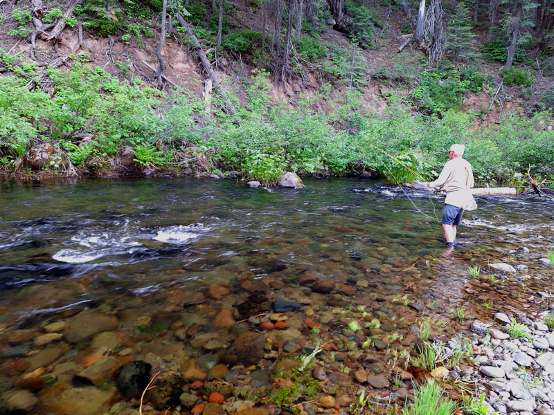 fly fish, fishiing, dry fly, trout, stream, creek, McCloud river, CA