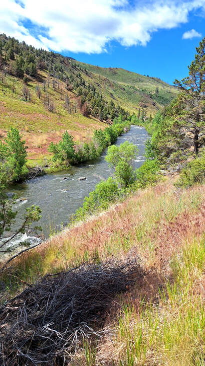 Chewaucan river, Pasiley, Oregon, Freemont-Winema National Forest